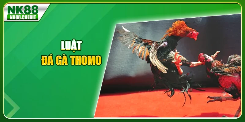 Luật đá gà Thomo