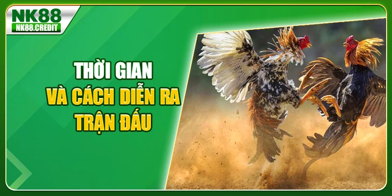 Thời gian và cách diễn ra trận đấu