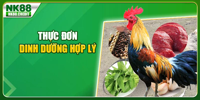 Thực đơn dinh dưỡng hợp lý